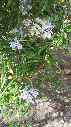20180425_153319