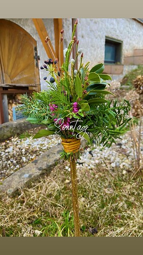 IMG_7525