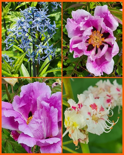 photocollage_202162163149174