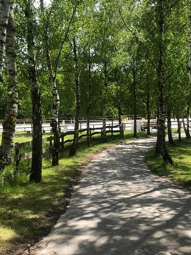 62AEFEB7-2CC7-439C-B6F6-9E113EBE03CD