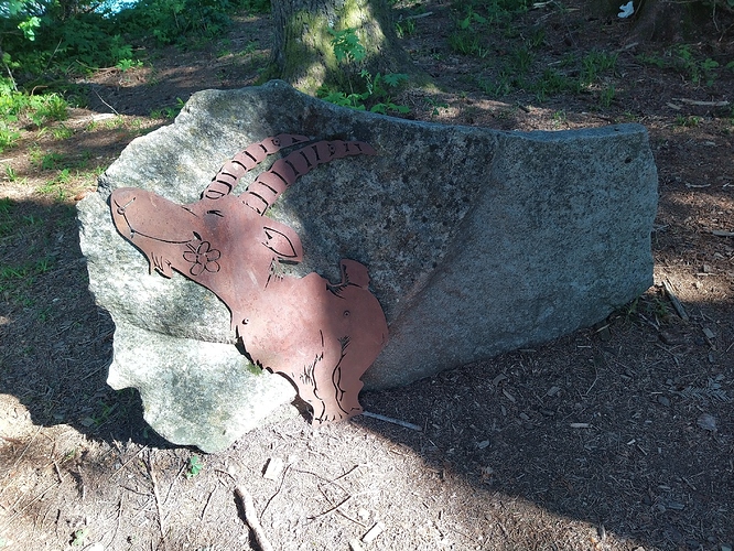 IMG_20210601_174434_1