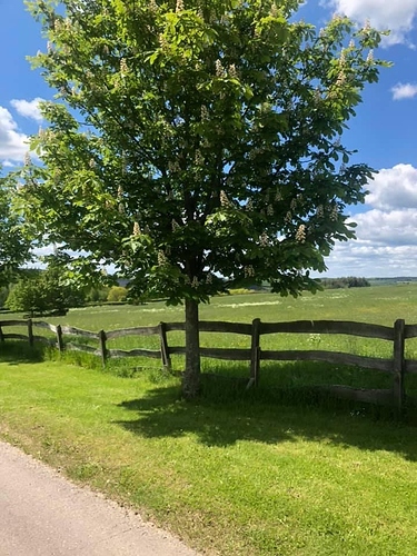 998F6D76-A3DD-49A7-A78B-1F138CB3E96A