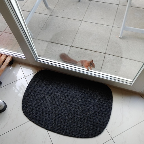 signal-2021-06-11-074928