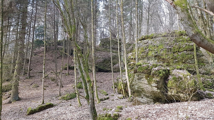20190324_111846