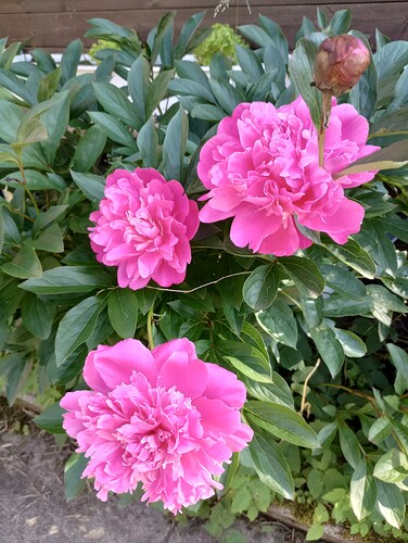 IMG_20250612_173058109_HDR