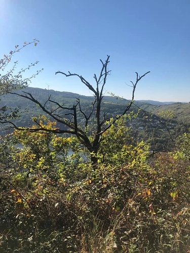 D8279317-FB88-433A-815E-E9BD792B600D