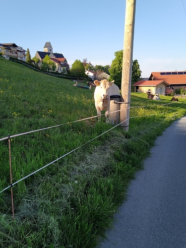 IMG_20210601_191213_1