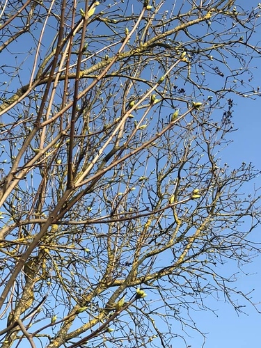 B73FBFD9-CEC1-4C91-85D0-C9A3929B8348