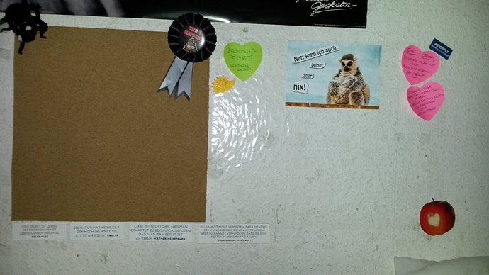 IMG-20190313-WA0002