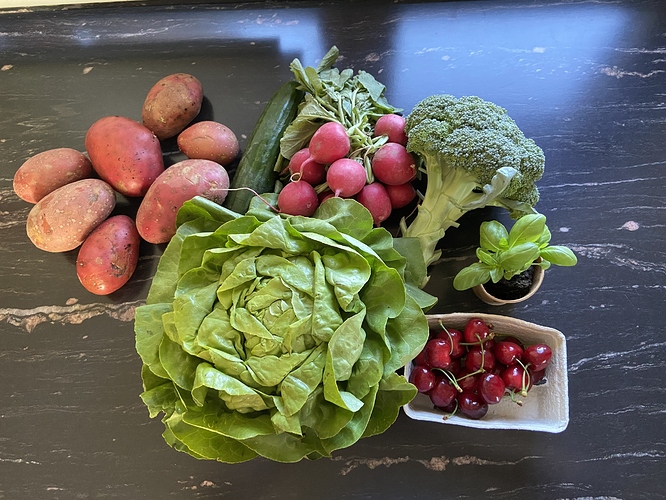 FD5A7C27-D47D-4057-B70A-40A7B2D8D0D1