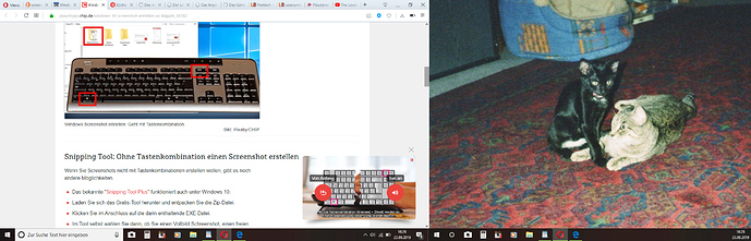 Screenshot (1)