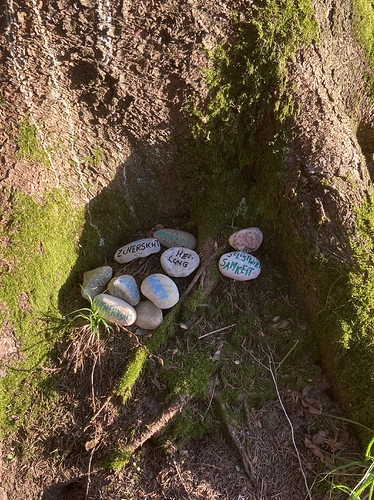 E80DD1FC-E5EE-46A6-9E0A-62099191CE1E