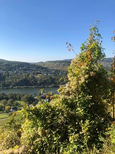 25BB08E0-CB24-4A82-BC6E-4AC609910C3B