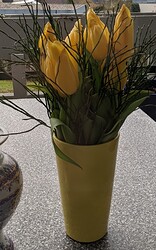 PXL_20230131_132910008~2