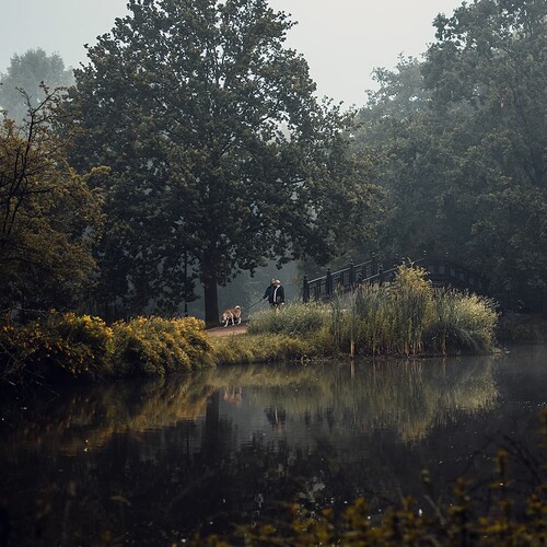 Z50_7256_X.05