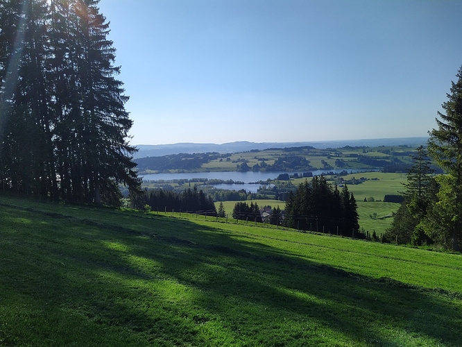 IMG_20210601_182336_1