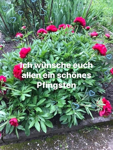 73D34698-9E68-4E2B-A0B4-F988960A0EFC