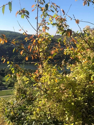 23A59A55-3A02-44FE-976D-697E3469359C