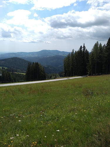 IMG_20210820_122753950