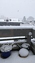 PXL_20230308_100726175