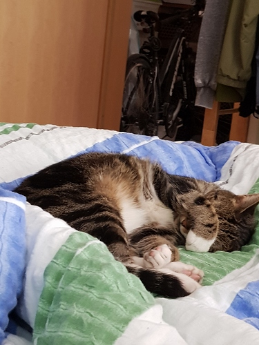 20190731_132642
