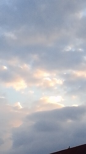 IMG-20220817-WA0000