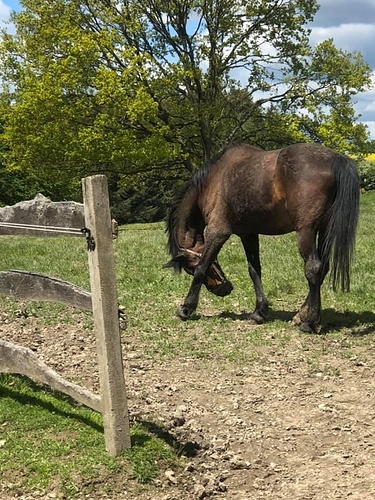 A2F96850-2E7B-4D9C-B31A-DDA9B7E79FC4