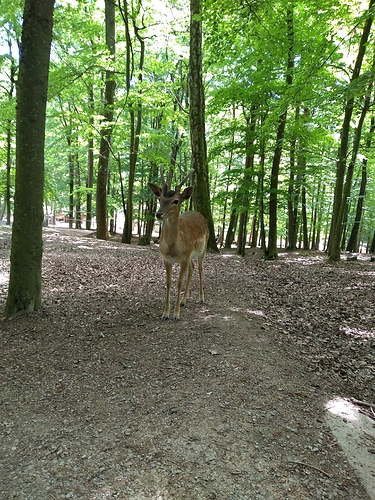 IMG_20210613_114652635