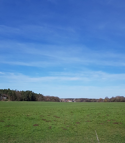 IMG-20190317-WA0006