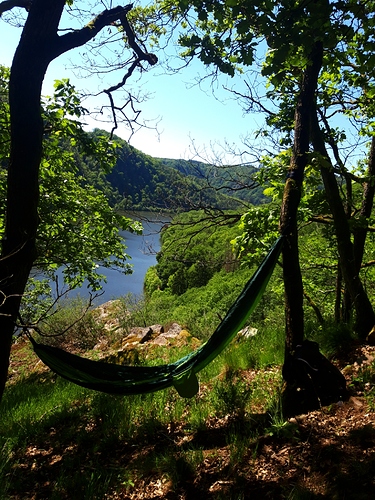 20210530_151607_20210531083355331