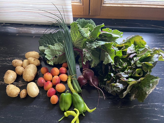 A62DF841-29AD-452A-8747-49674F24FFD5