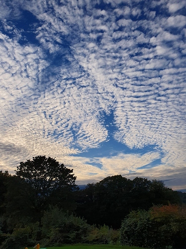 20191005_180823