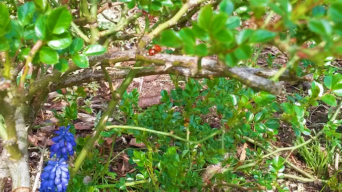 20190410_135534