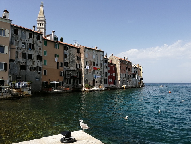 IMG_20190812_114143