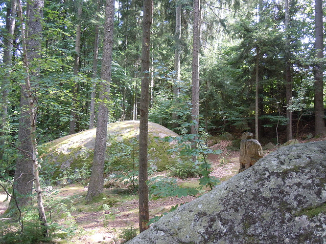DSCN5490