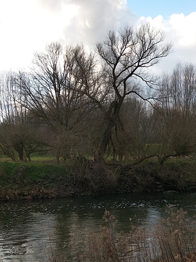 0118397C-16B9-4842-A7F6-828BA22128E3