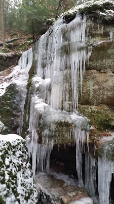 20190202_111149
