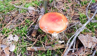 20191013_152550