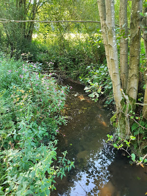 20190903_103057