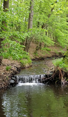 20190510_145354