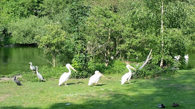 20190524_164918