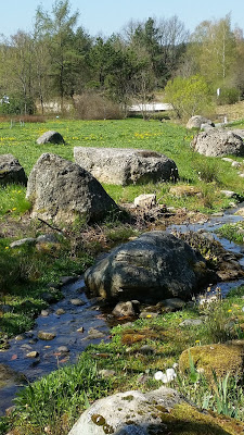 20190421_104904