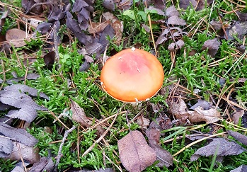 20191013_152346
