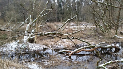 20190104_144853