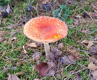 20191013_152600