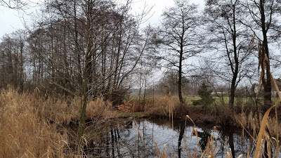20190101_104337