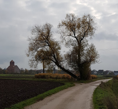 20191109_115144
