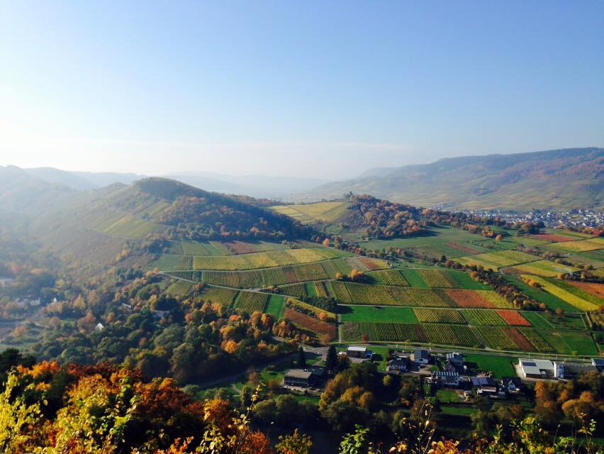 39DAC56F-0D19-4FA2-803B-6DC31B797977