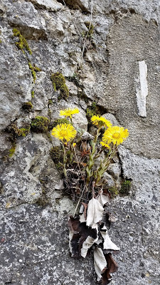 20190316_135914