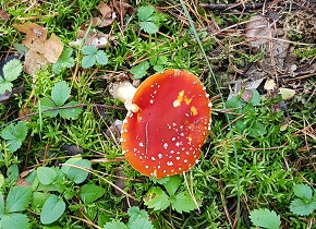 20191013_152355